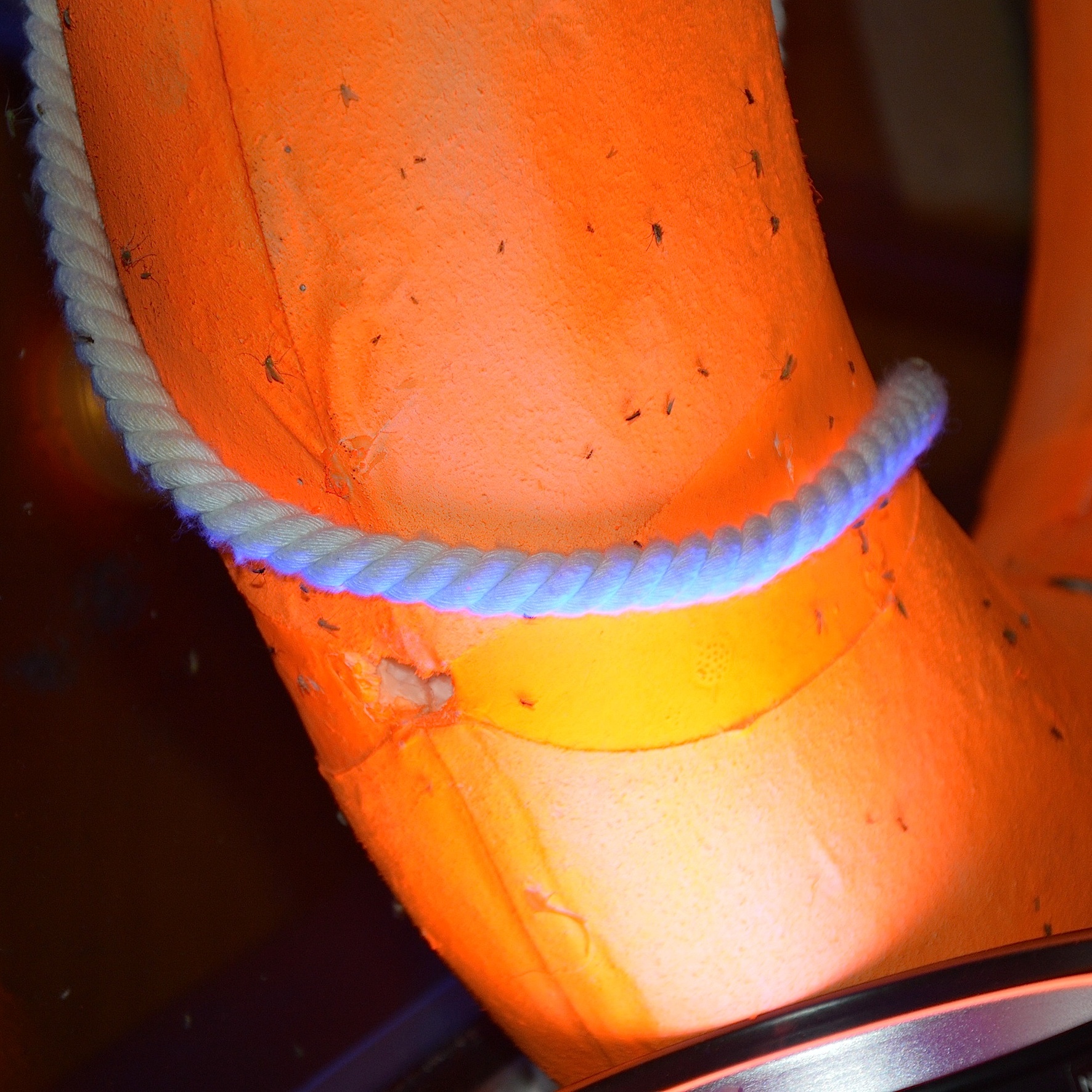 Partybootstour0714 57