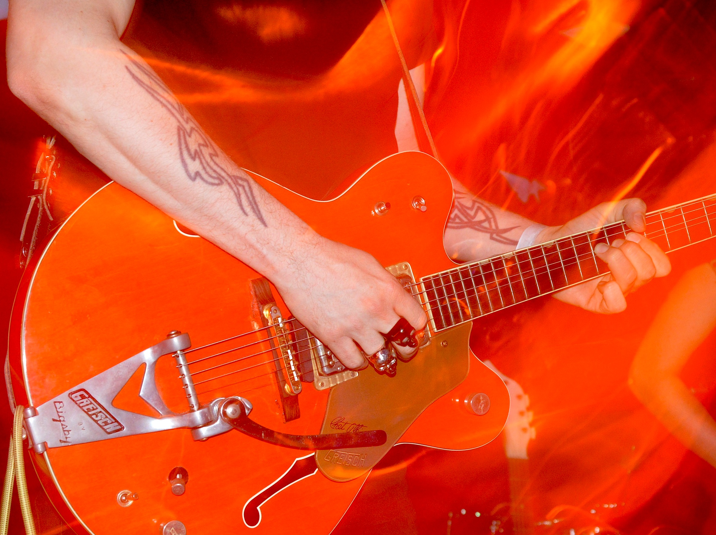 Gallinago Gallinago 0214 13