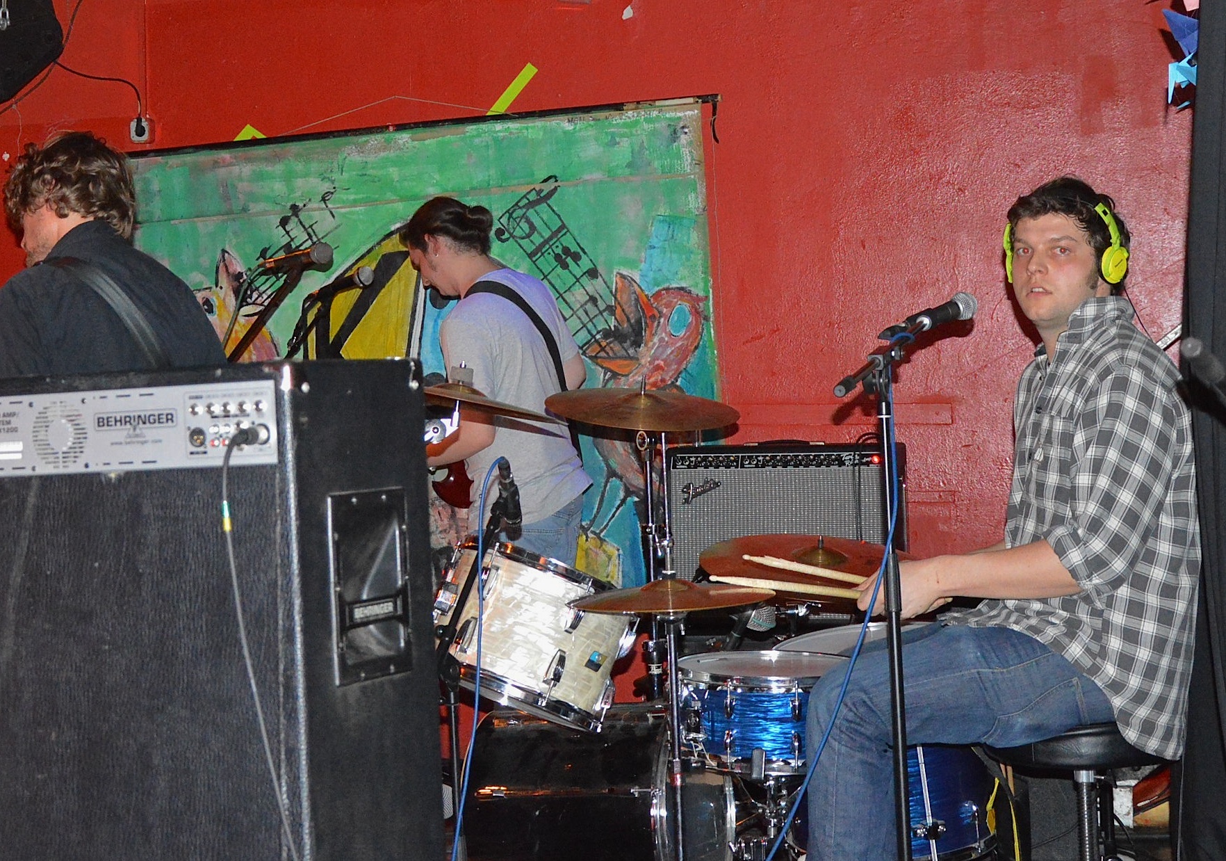 Gallinago Gallinago 0214 17