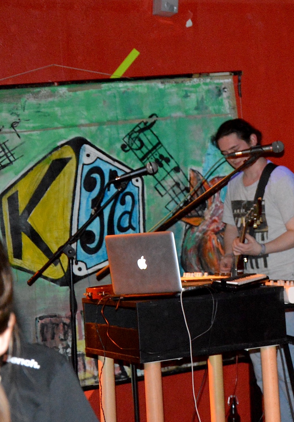 Gallinago Gallinago 0214 18