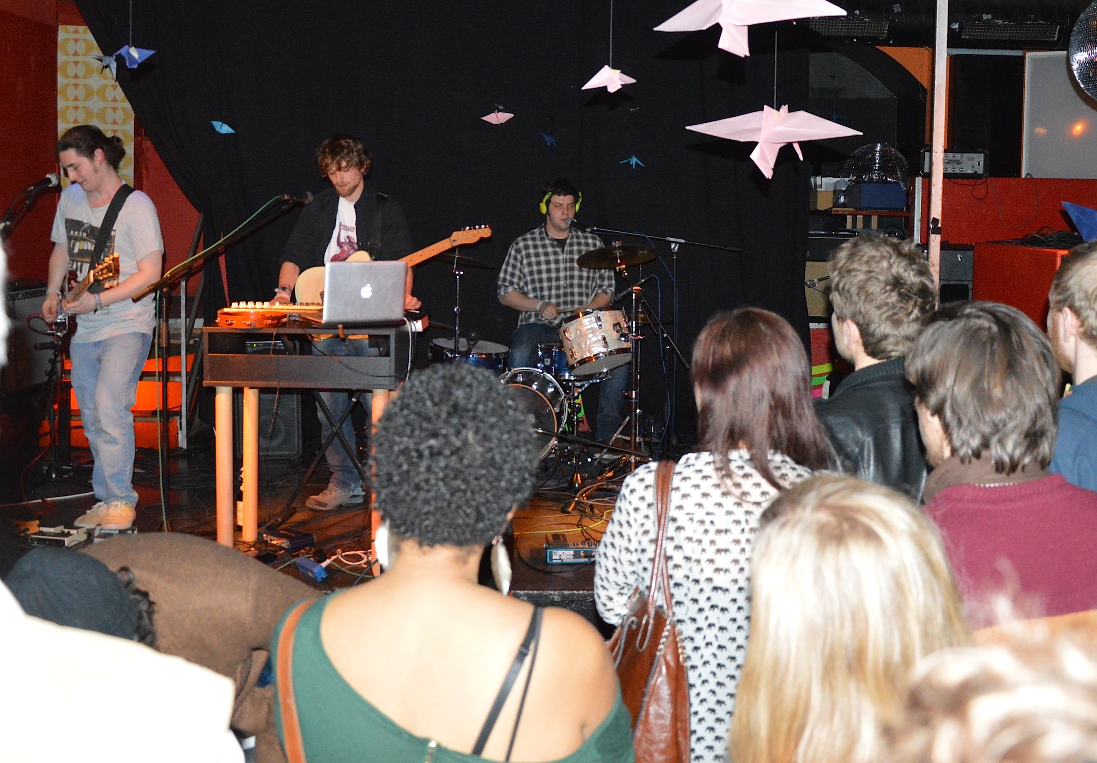 Gallinago Gallinago 0214 19