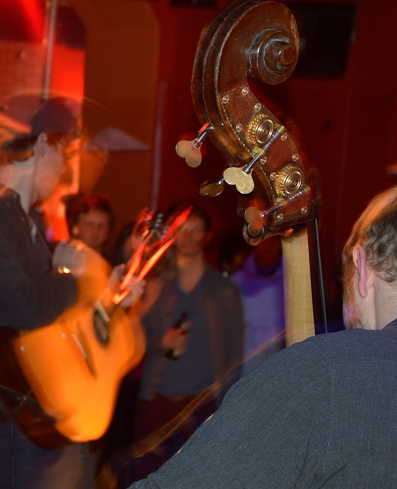 Gallinago Gallinago 0214 8