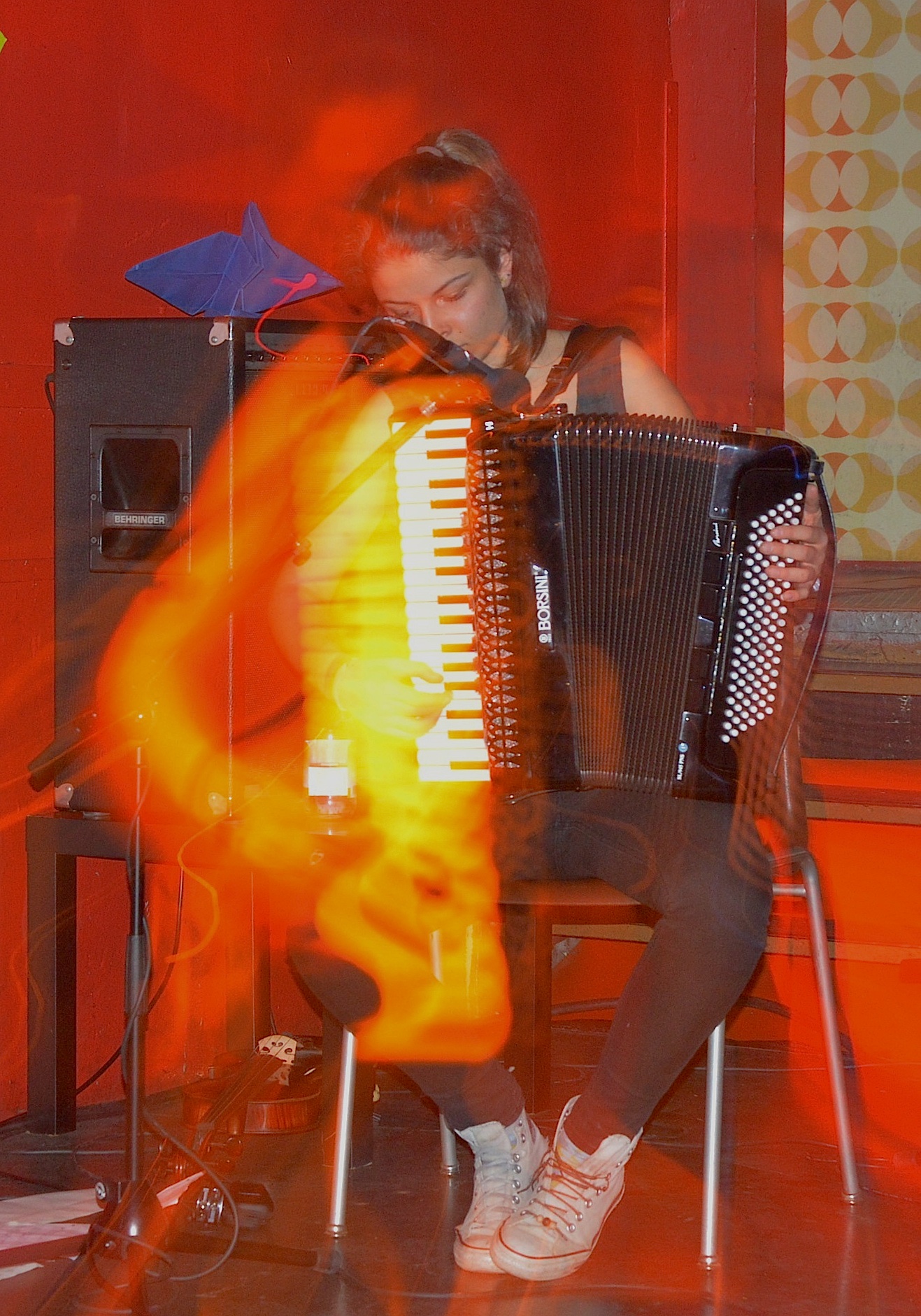 GallinagGallinago0314 10