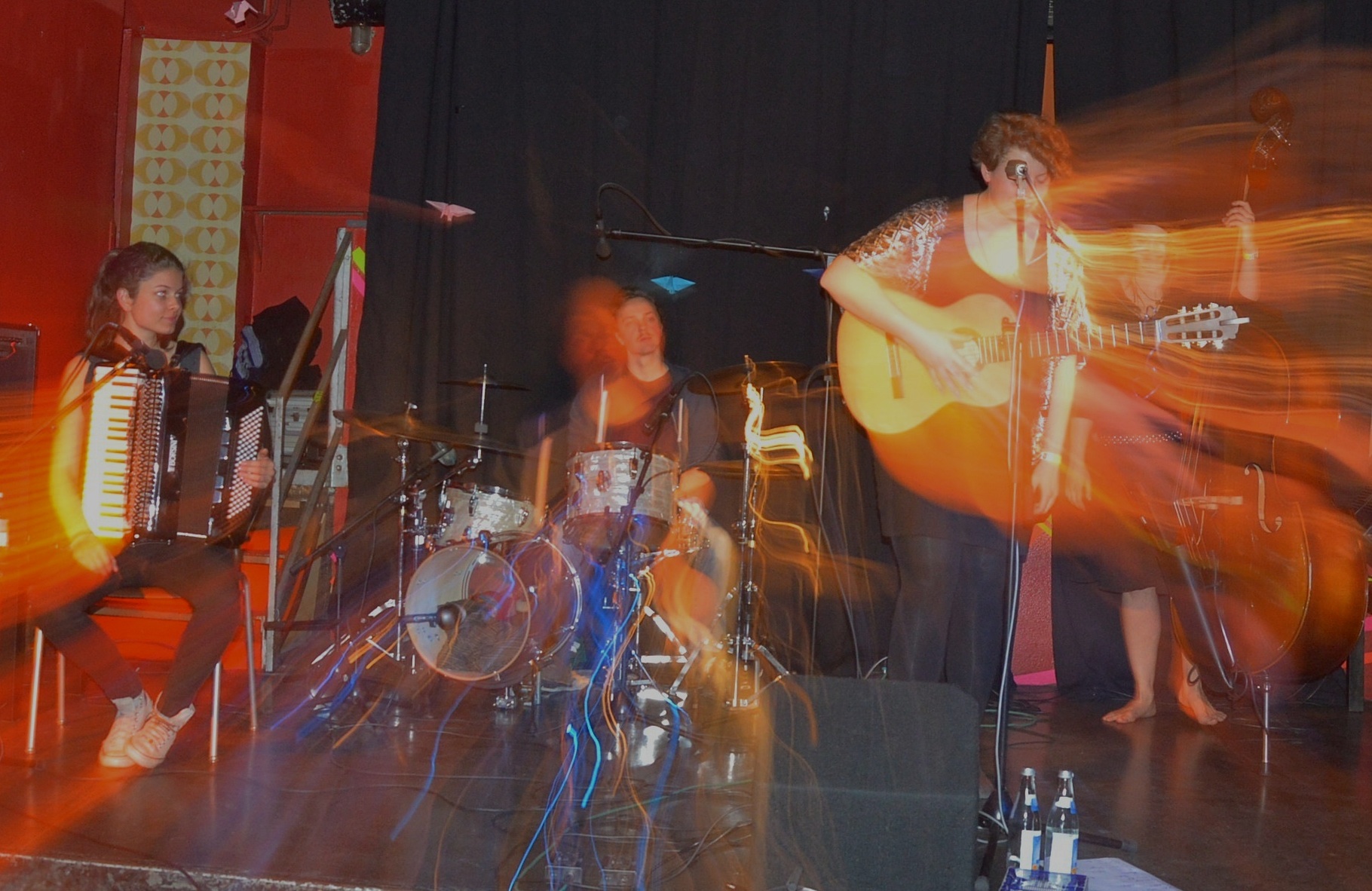 GallinagGallinago0314 11