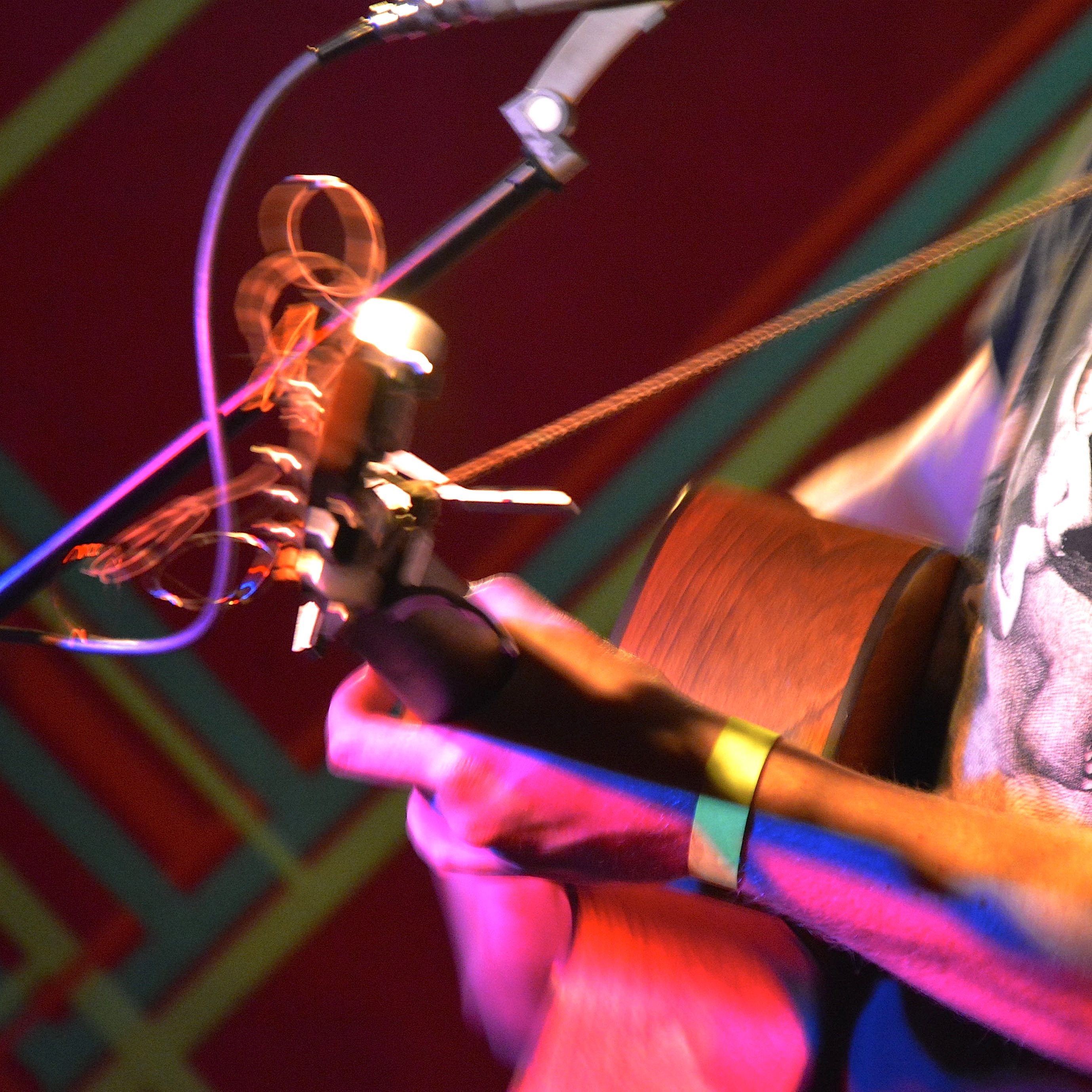 GallinagGallinago0314 2