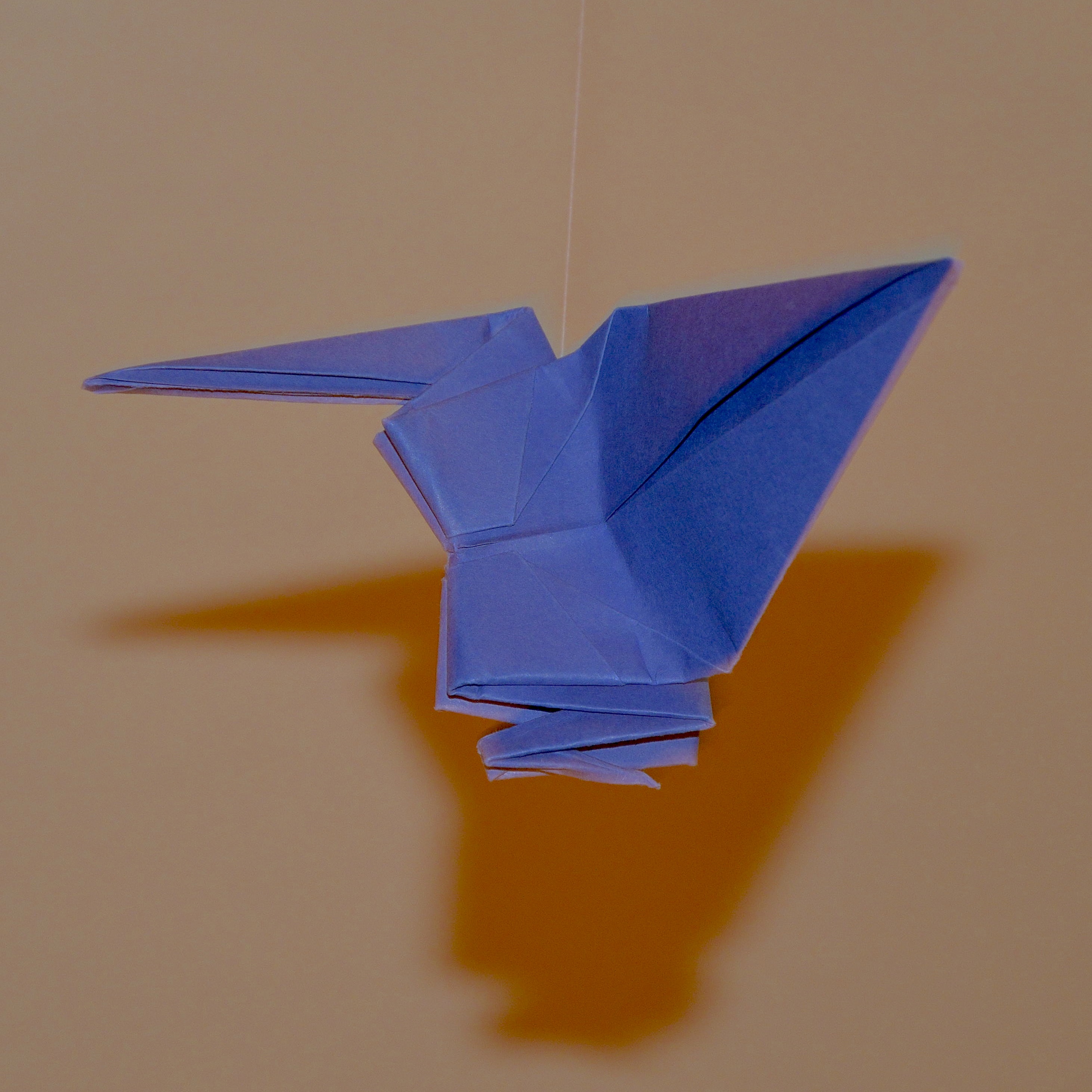 GallinagGallinago0314 4