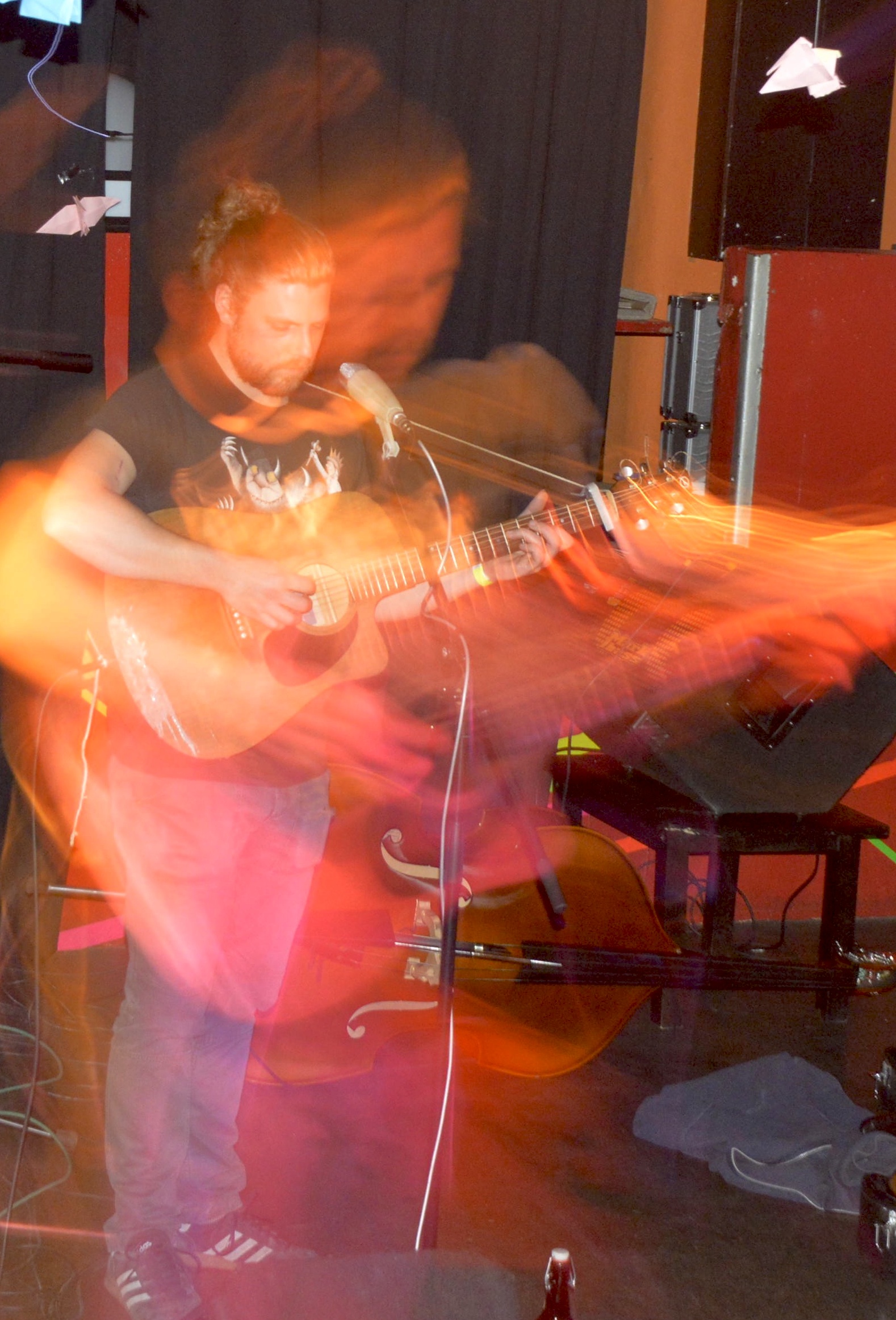 GallinagGallinago0314 5