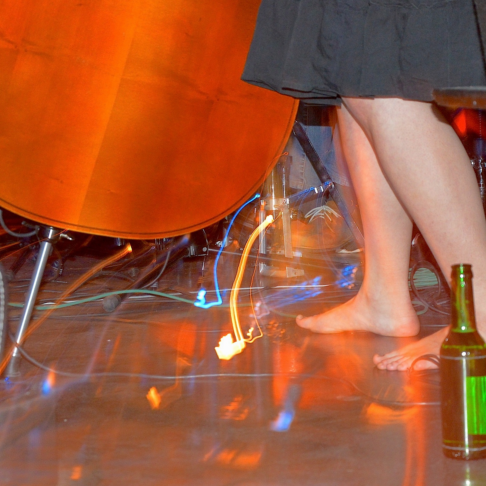 GallinagGallinago0314 8